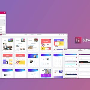 Elementor PRO WordPress Page Builde